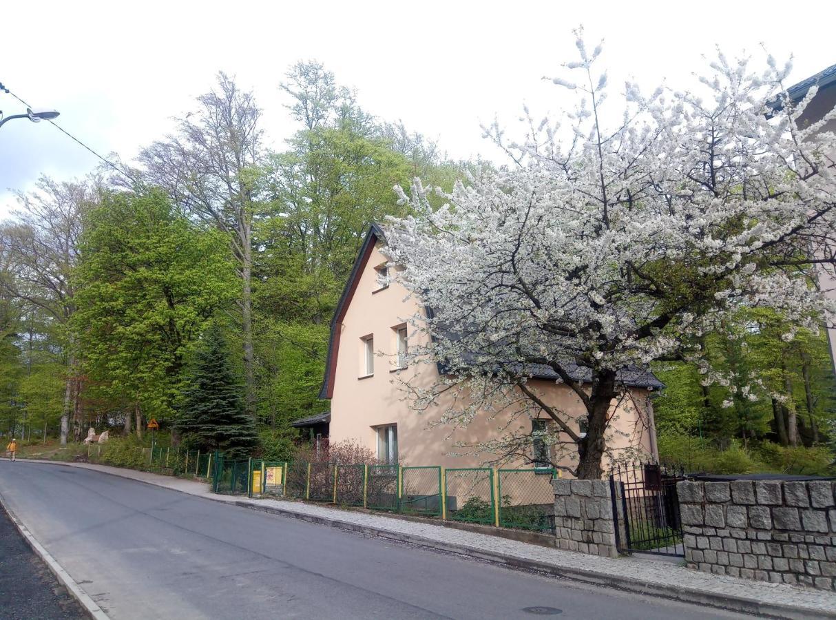 Willa Rozalia Szklarska Poręba Exterior foto